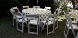 silla Avant Garde con mesa redonda y mantel verde manzana
