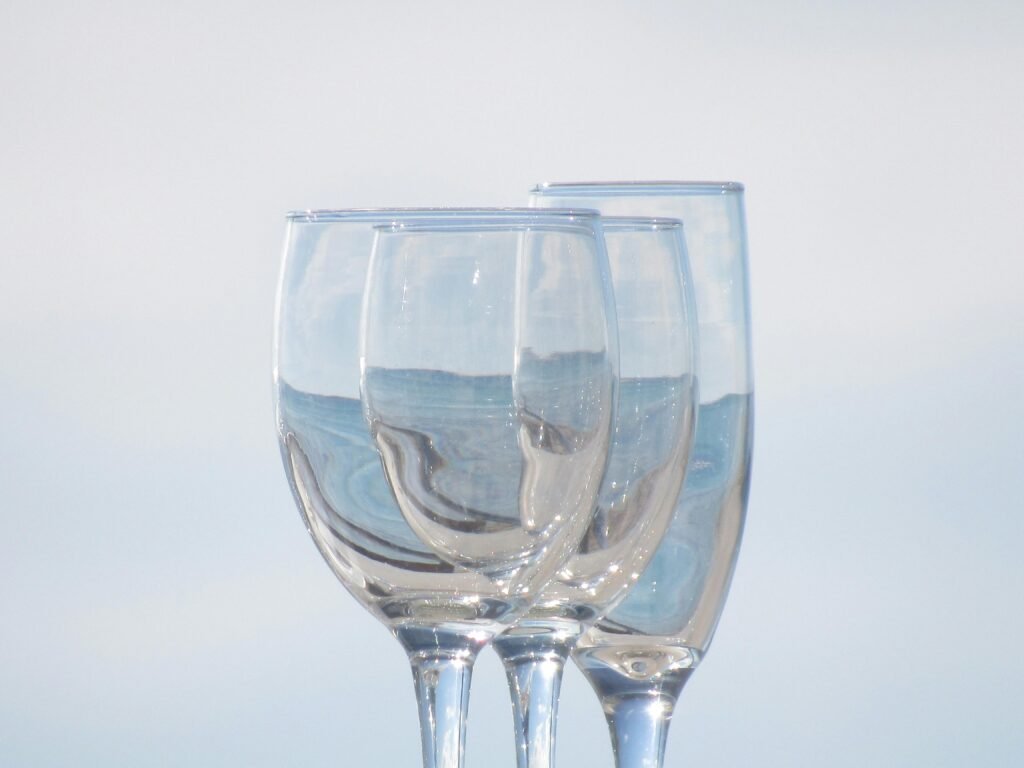copa para vino blanco y champaña